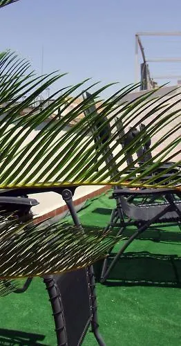 Safestay Mezquita Catedral 2* 科爾多瓦